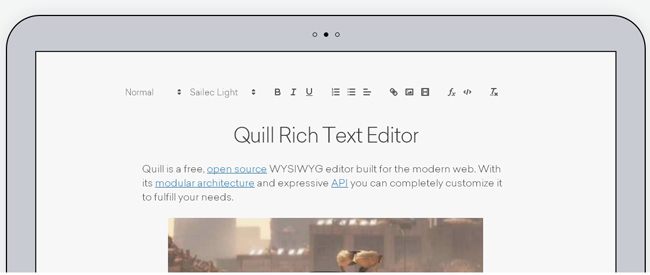 Quill Rich Text Editor