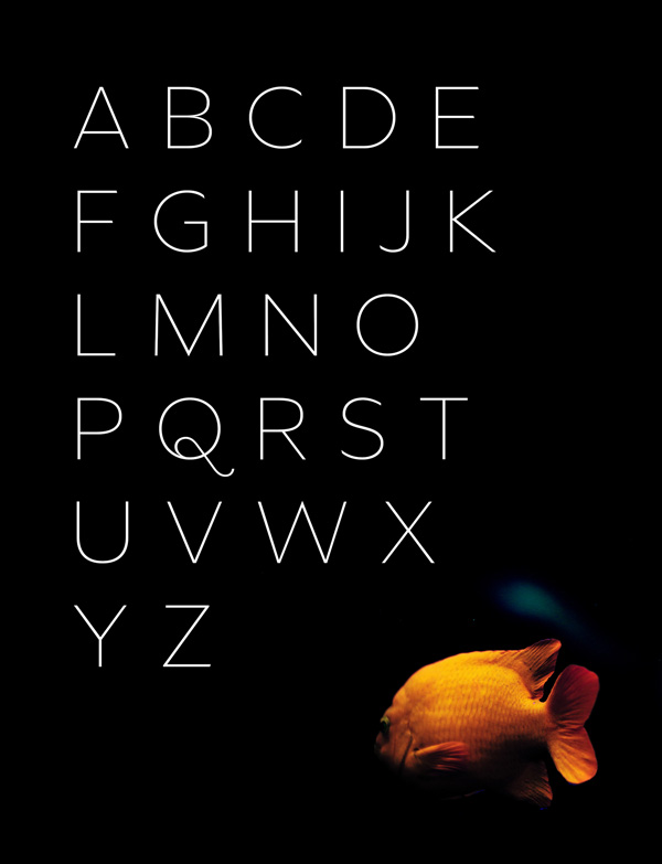 1-free-font