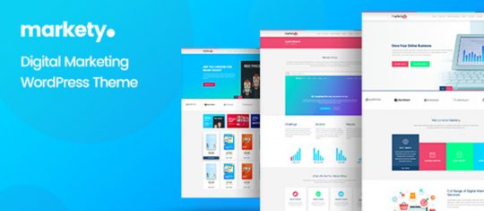 SEO & Digital Marketing WordPress Theme - Designbeep