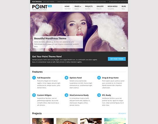 pointpro