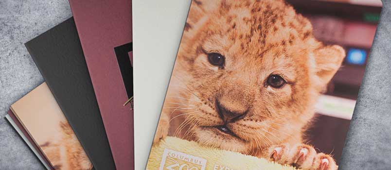 Photo Paper Vs. Art Paper: Which Print Paper To Choose - Designbeep