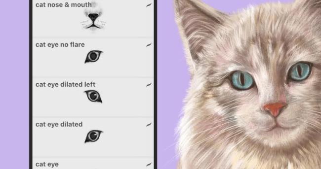 Fur Brush for Procreate Free