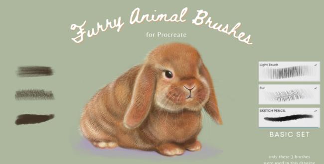Fur Brush for Procreate Free