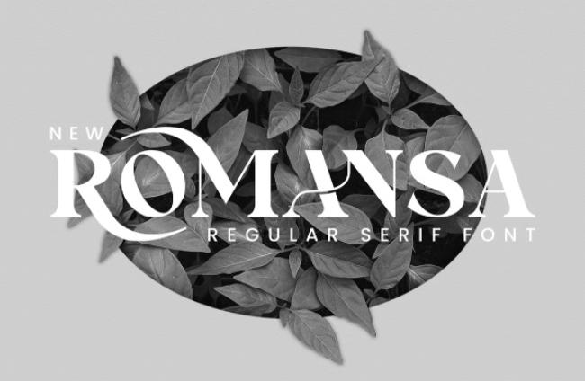 roman font
