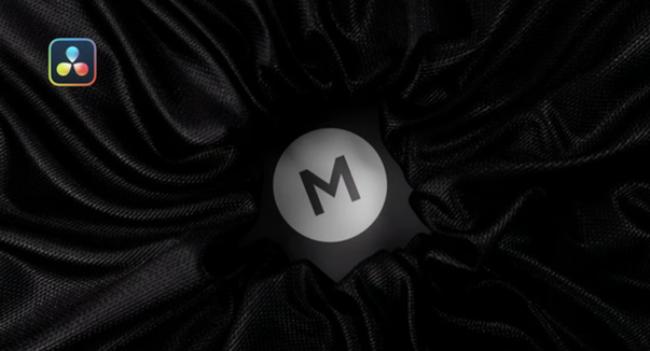 Elegant Fabric Logo Reveal