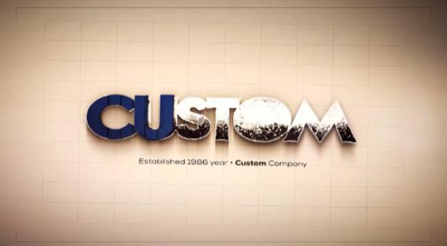 Stylish Logo Template