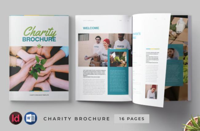 Photo-Focused Brochure