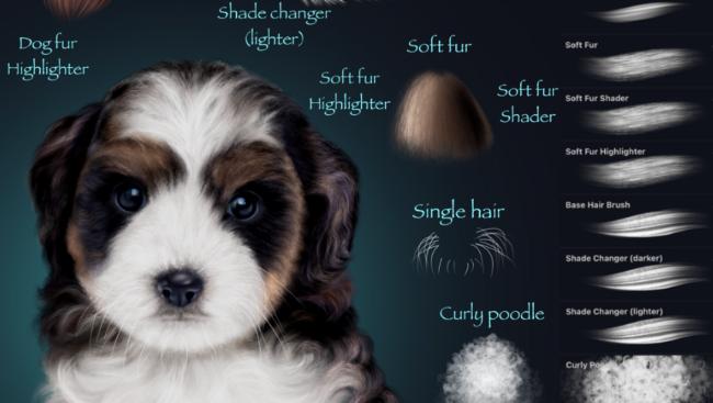 Fur Brush for Procreate Free