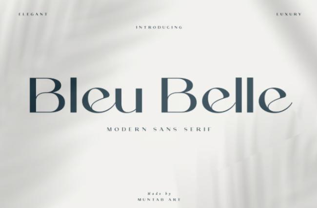 Bleu Belle Paris Font - modern sans serif