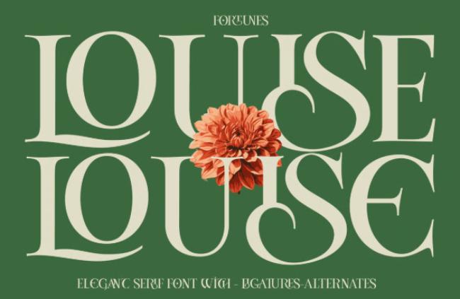 Louise Paris Font - elegant serif design