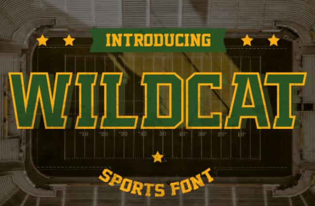 baseball font