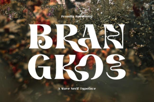 Brangkos - elegant wavy serif font
