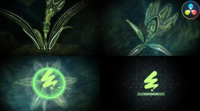 Rise High Tech Logo