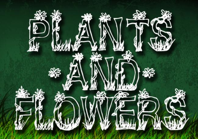 CF Plants and Flowers font featuring comprehensive letters with diverse plant and flower decorations from botanical collections