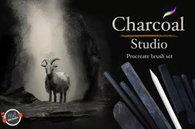 Charcoal drawing brushes for Procreate