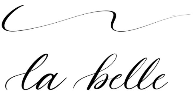 Professional lettering brush set showing smooth ink lines, brush strokes, and monoline precision examples