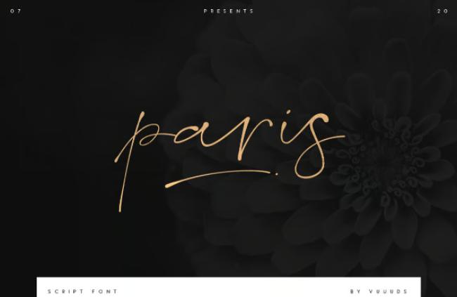 Paris Script Font - elegant handwritten style