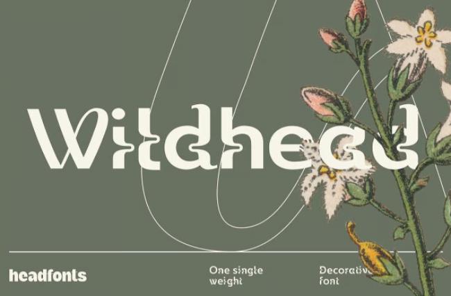 Wildhead untamed garden font with dandelion puff details and wind-blown seed textures
