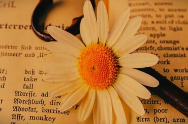 flower fonts