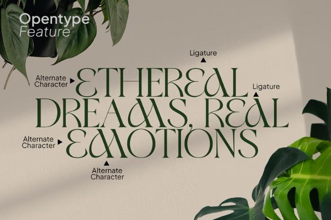 Ophelia font example yoga font