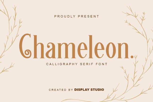 Chameleon font example yoga font