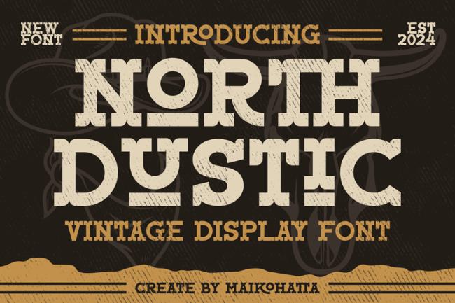 North Dustic modern serif font displaying balanced thick and thin strokes with elegant typography