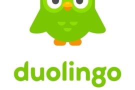 Duolingo font