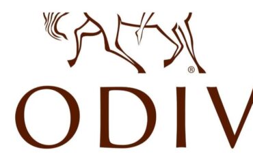 Godiva font