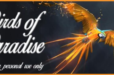 Birds of Paradise font