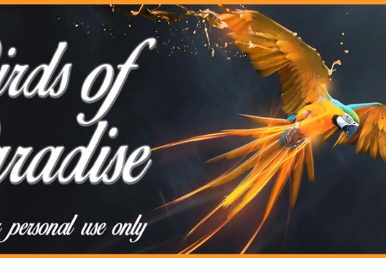 Birds of Paradise font