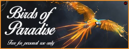 Birds of Paradise font