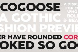 Cocogoose font
