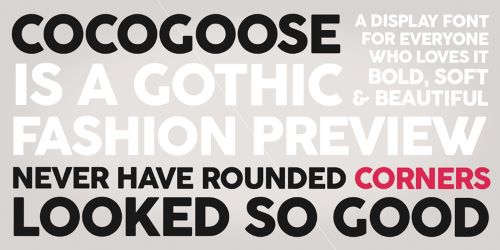 Cocogoose font