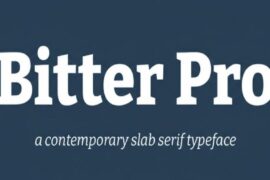 Bitter Pro Typeface Font