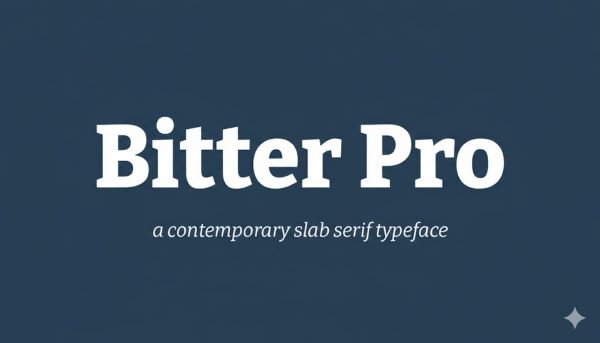 Bitter Pro Typeface Font