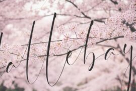 Dattebayo Script Font