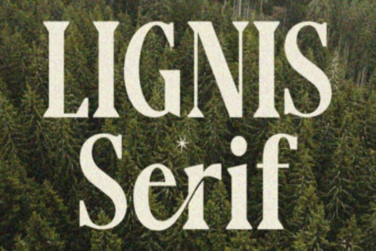 Lignis Font
