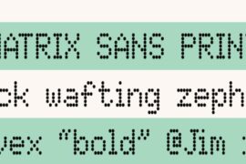 Matrix Sans Font