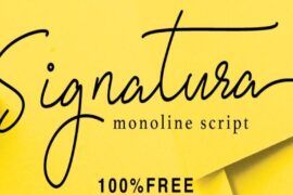 Signatura Monoline Font