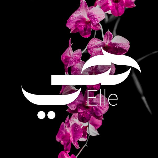 Lombardia Arabic Font