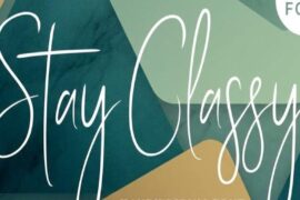 Stay Classy Script Font