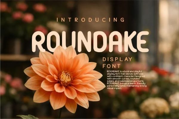 Roundake Font