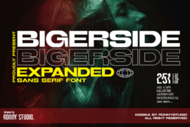 Bigerside Font