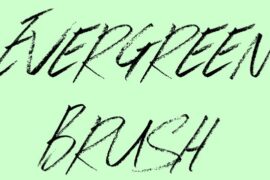 Evergreen Brush Font