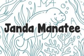 Janda Manatee Font