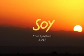 soy font
