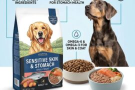 Sensitive Skin and Stomach Dog Food