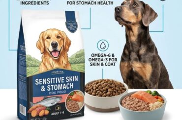 Sensitive Skin and Stomach Dog Food