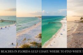 Best Beaches in Florida Gulf Coast