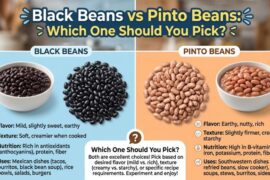 Black Beans vs Pinto Beans